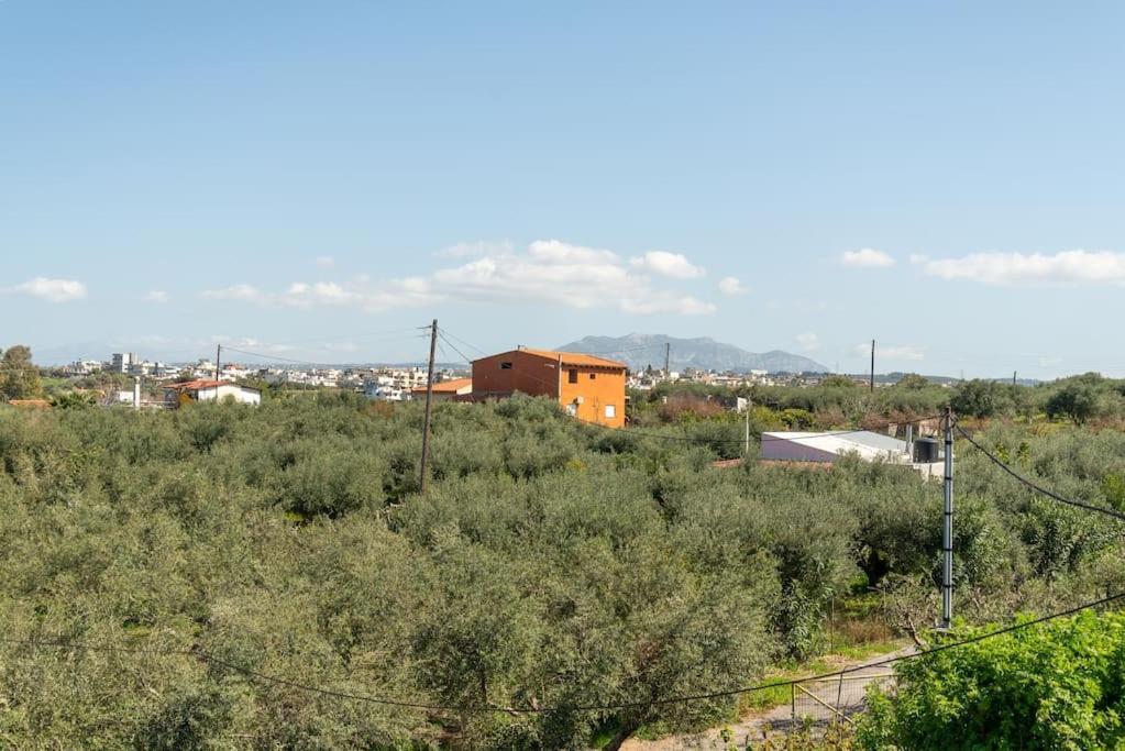 Apartment Olive Near The *