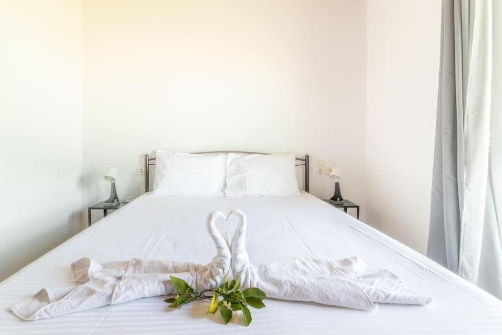 Apartment Olive Near The Gazi